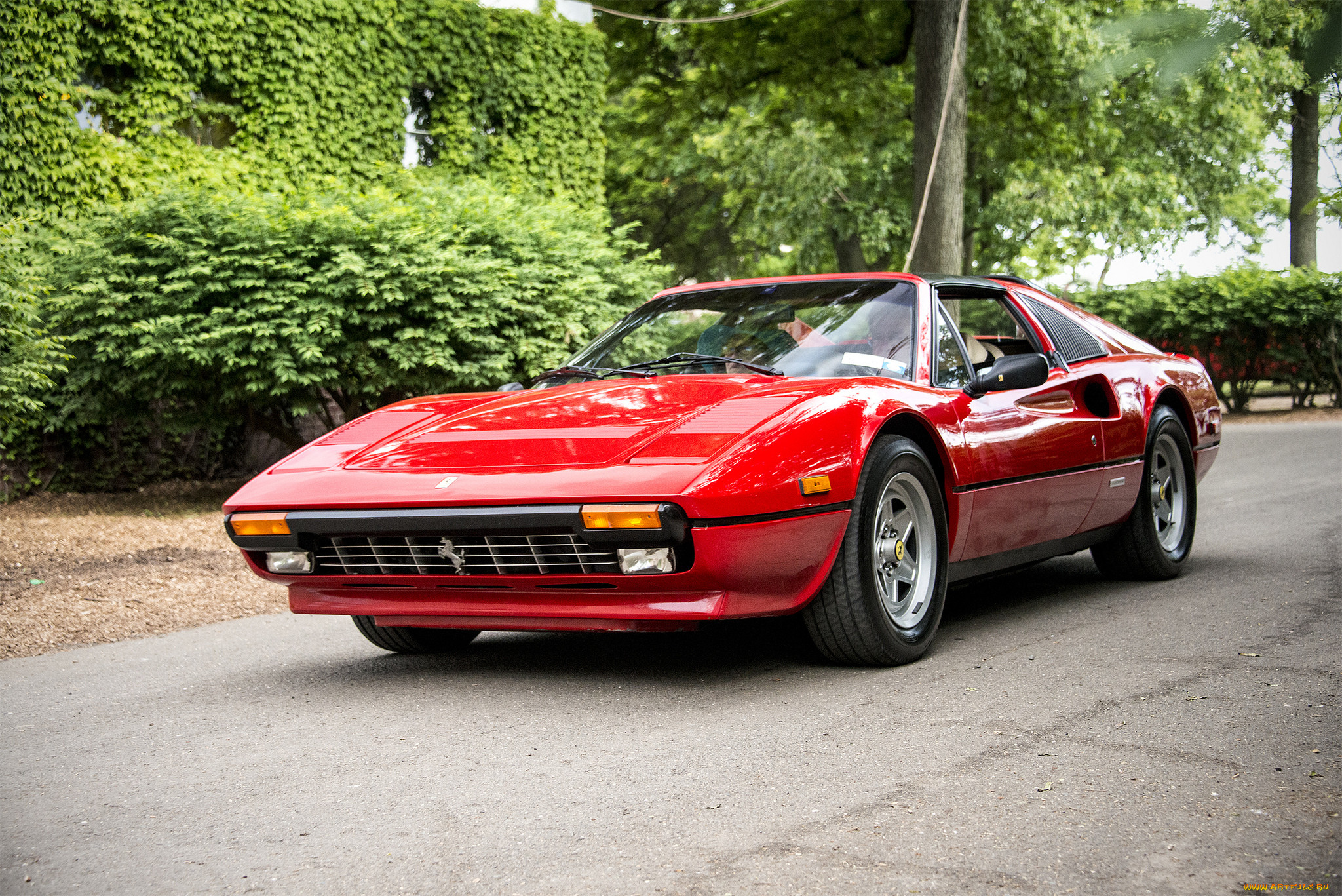 ferrari 308, , ferrari, , , 